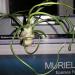 Dagon aime beaucoup mon blog